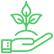 seeding-logo